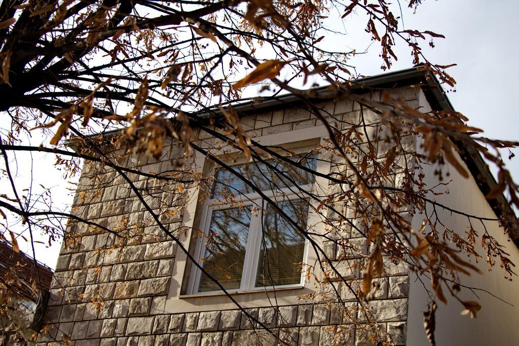 Nikšić Apartments Matijasevic מראה חיצוני תמונה